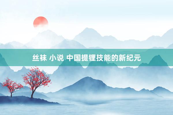 丝袜 小说 中国提锂技能的新纪元