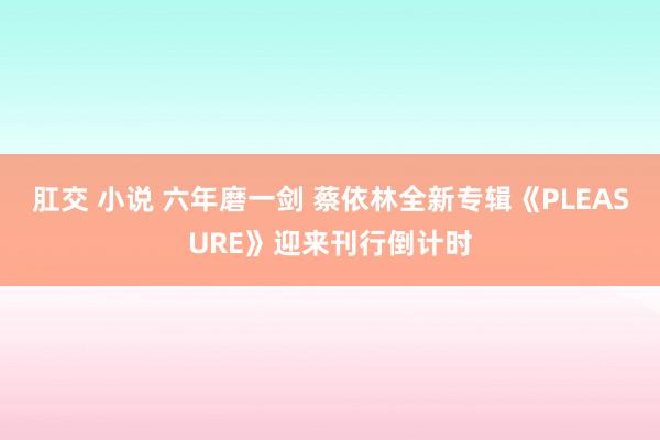 肛交 小说 六年磨一剑 蔡依林全新专辑《PLEASURE》迎来刊行倒计时