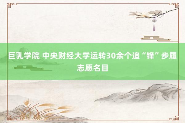 巨乳学院 中央财经大学运转30余个追“锋”步履志愿名目