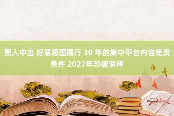 黑人中出 好意思国履行 30 年的集中平台内容免责条件 2027年恐被消释