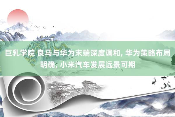 巨乳学院 良马与华为末端深度调和， 华为策略布局明确， 小米汽车发展远景可期