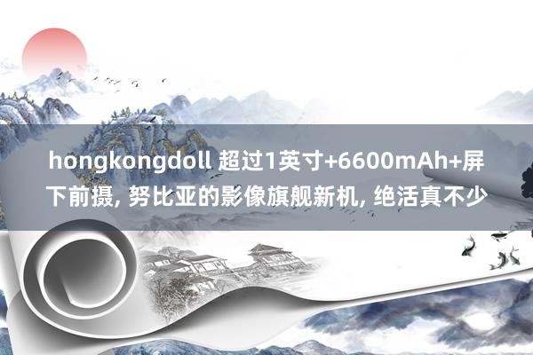 hongkongdoll 超过1英寸+6600mAh+屏下前摄， 努比亚的影像旗舰新机， 绝活真不少