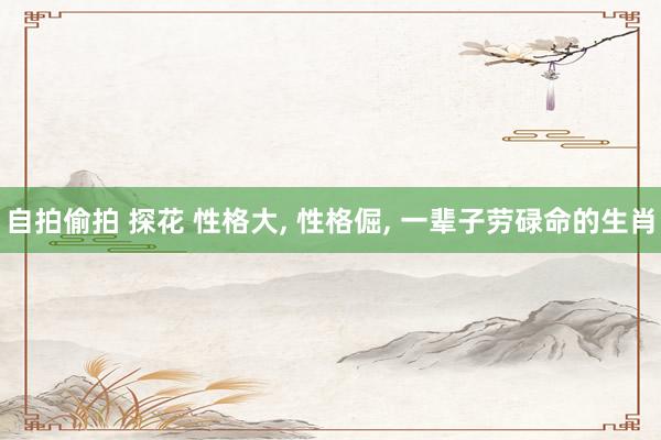自拍偷拍 探花 性格大， 性格倔， 一辈子劳碌命的生肖