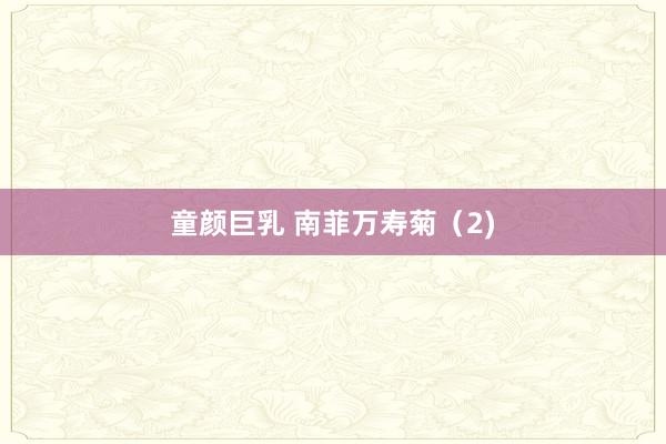 童颜巨乳 南菲万寿菊（2)
